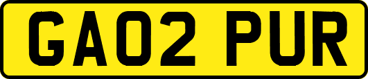 GA02PUR