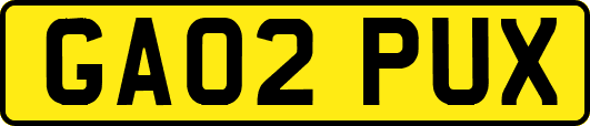 GA02PUX