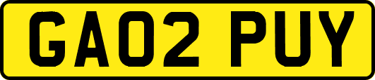 GA02PUY