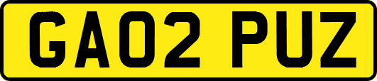 GA02PUZ