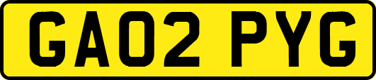 GA02PYG