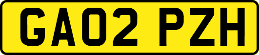 GA02PZH