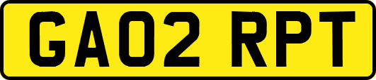 GA02RPT