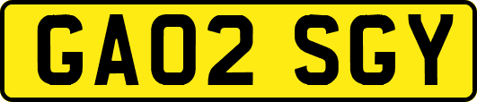 GA02SGY