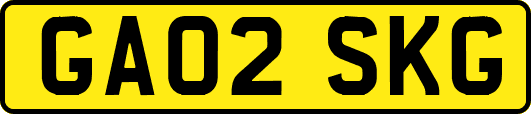 GA02SKG