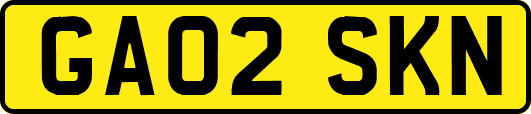 GA02SKN
