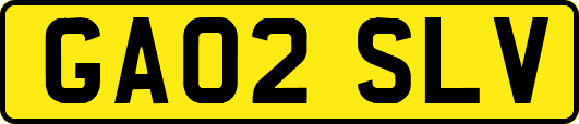 GA02SLV