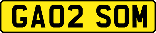 GA02SOM
