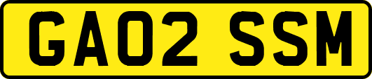 GA02SSM