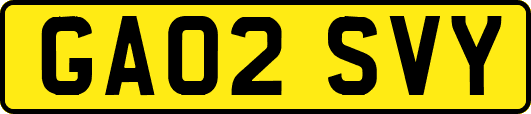 GA02SVY