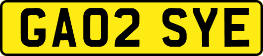 GA02SYE