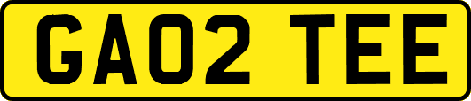GA02TEE