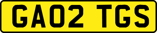 GA02TGS