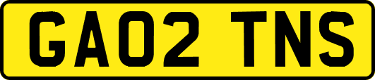 GA02TNS