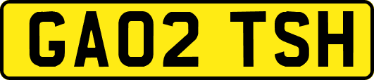 GA02TSH