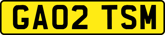 GA02TSM