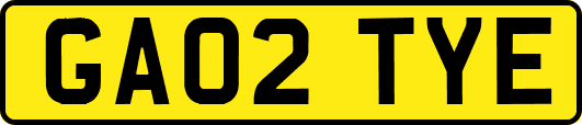GA02TYE