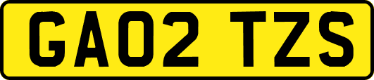 GA02TZS