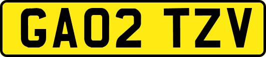 GA02TZV