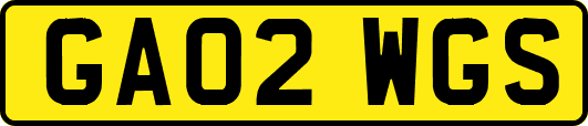 GA02WGS