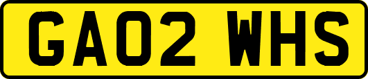 GA02WHS