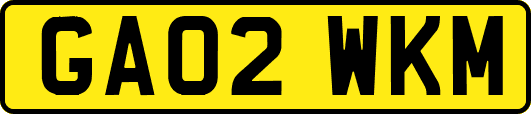 GA02WKM