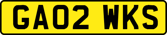 GA02WKS