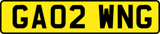 GA02WNG