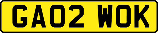 GA02WOK