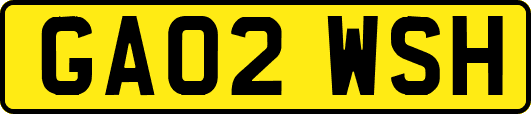 GA02WSH