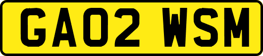 GA02WSM