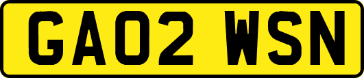 GA02WSN