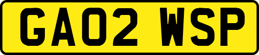 GA02WSP