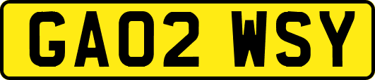 GA02WSY
