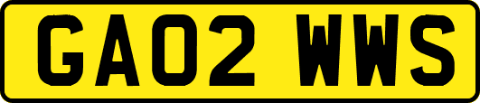 GA02WWS