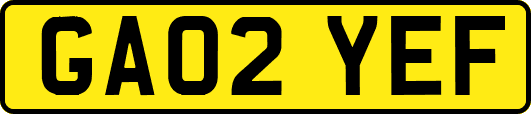 GA02YEF