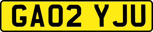 GA02YJU