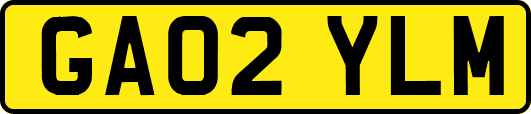 GA02YLM