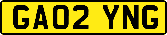 GA02YNG