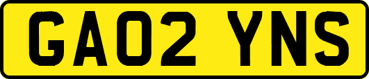 GA02YNS