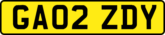 GA02ZDY