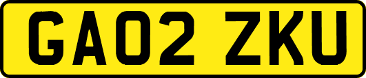 GA02ZKU