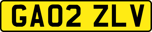 GA02ZLV