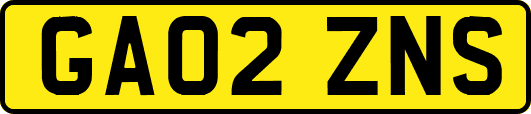 GA02ZNS