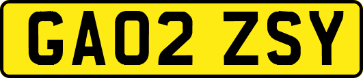 GA02ZSY