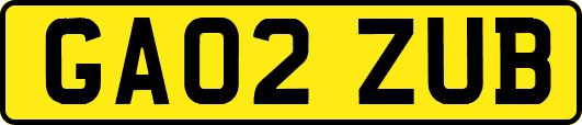 GA02ZUB