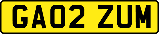 GA02ZUM