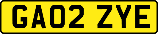 GA02ZYE