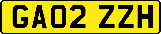 GA02ZZH