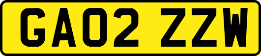 GA02ZZW